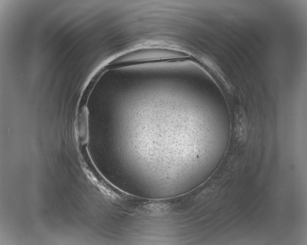 X0000078860888200611201310