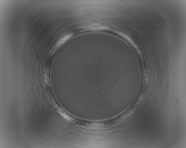 X0000078860889200611201310