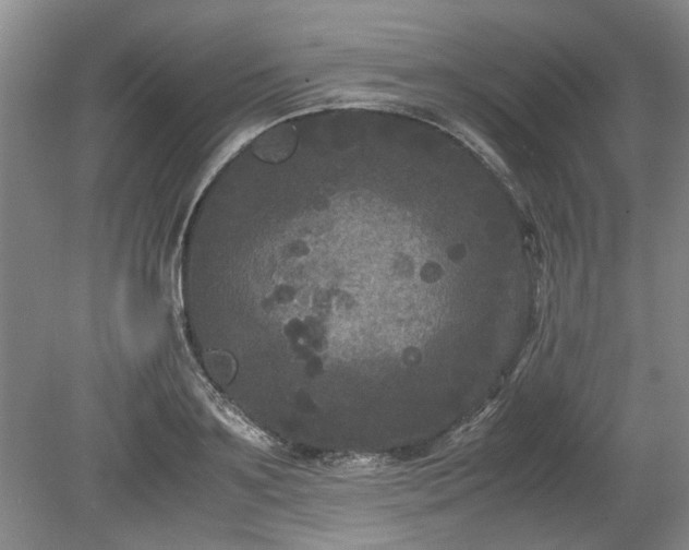 X0000078860891200611201310