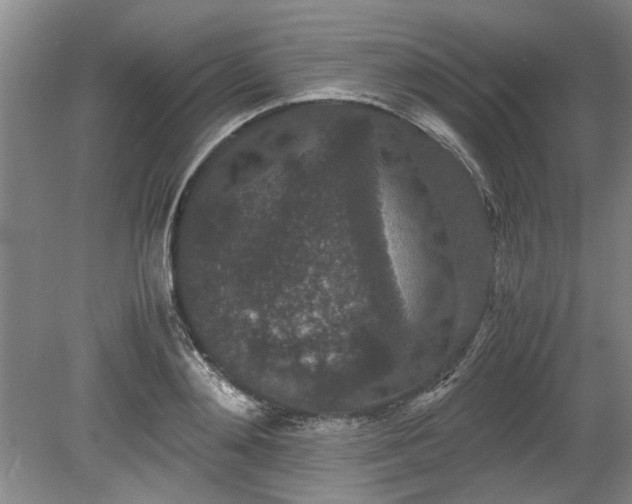 X0000078860892200611201310