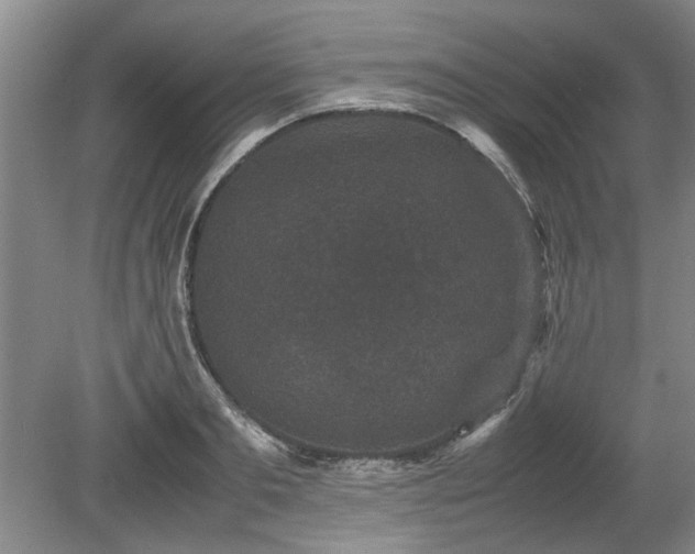 X0000078860893200611201310