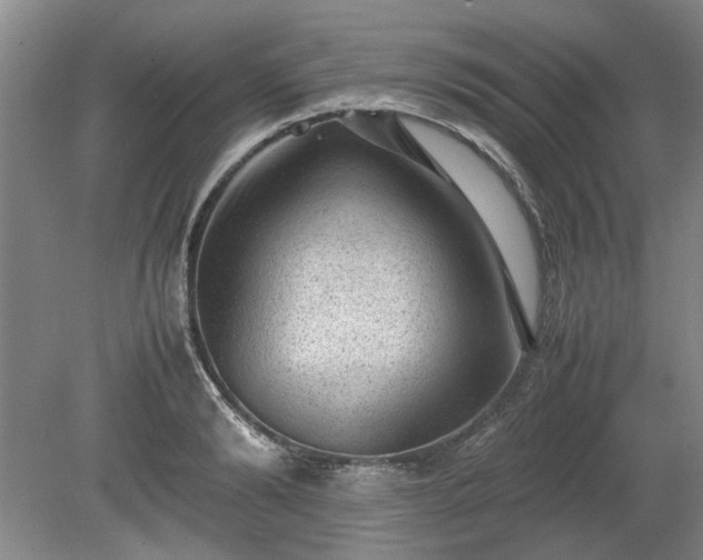 X0000078860894200611201310