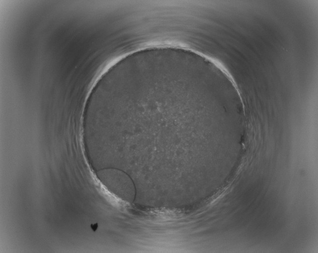 X0000078860895200611201310