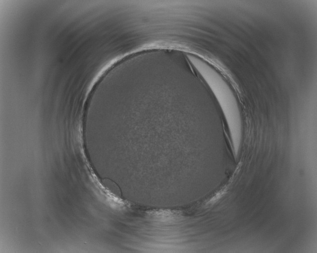 X0000078860896200611201310