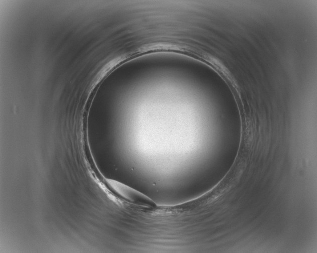 X0000078860898200611201310