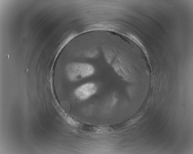 X0000078860899200611201310