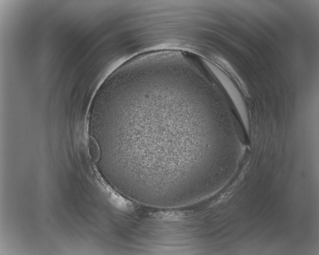 X0000078860900200611201310