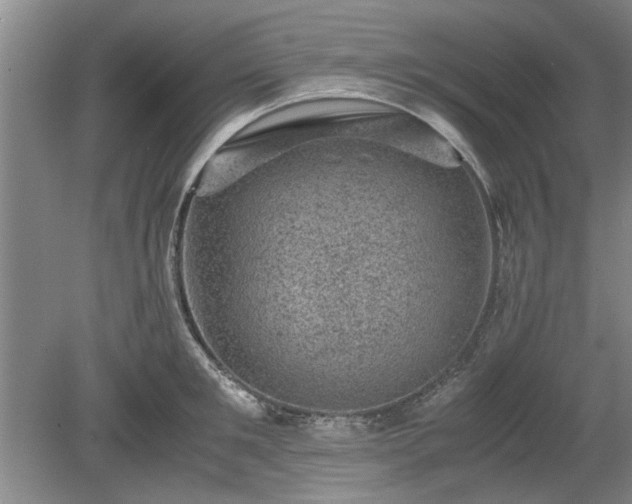 X0000078860901200611201310