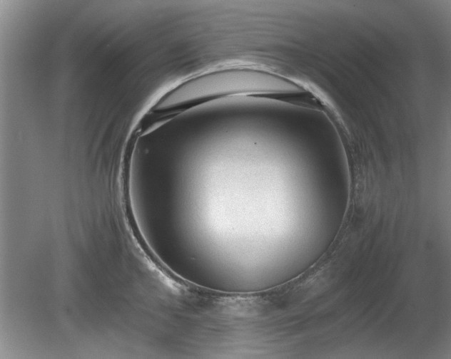 X0000078860902200611201310