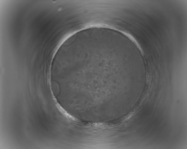 X0000078860903200611201310