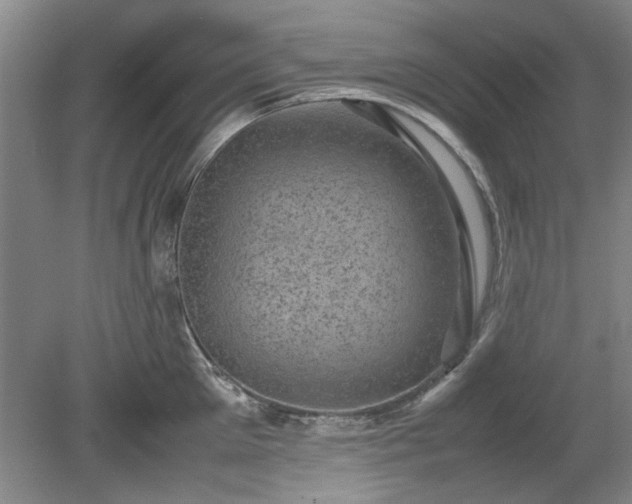 X0000078860905200611201310