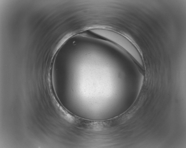 X0000078860906200611201310