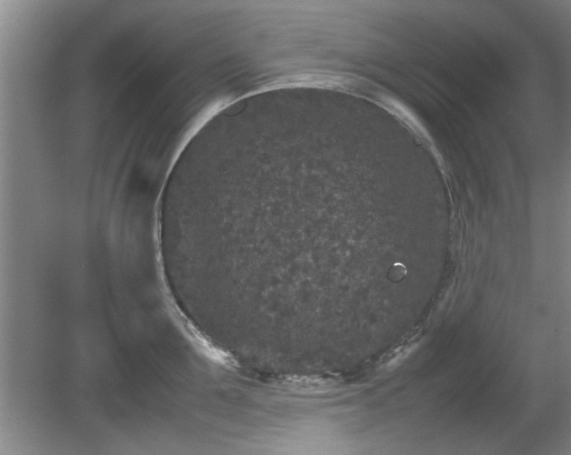 X0000078860907200611201310