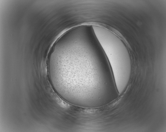 X0000078860908200611201310