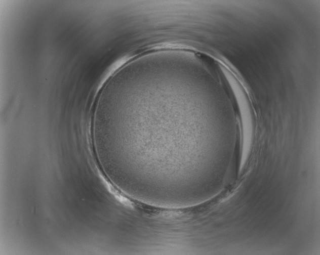 X0000078860909200611201310