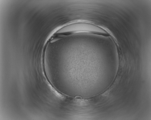 X0000078860910200611201310