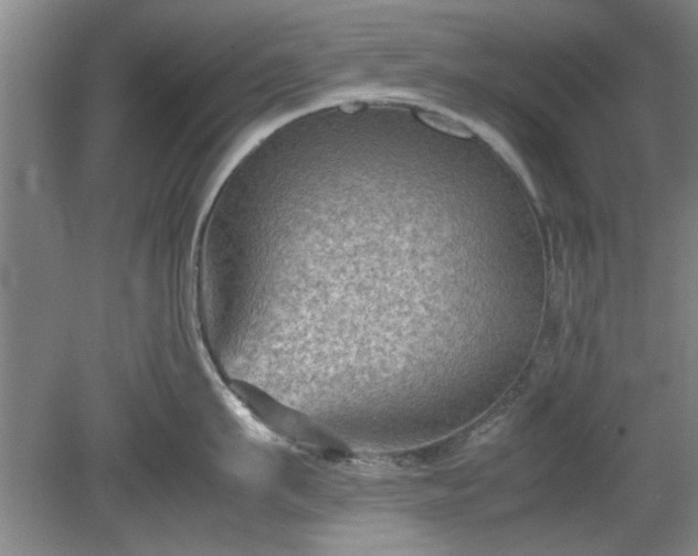 X0000078860911200611201310