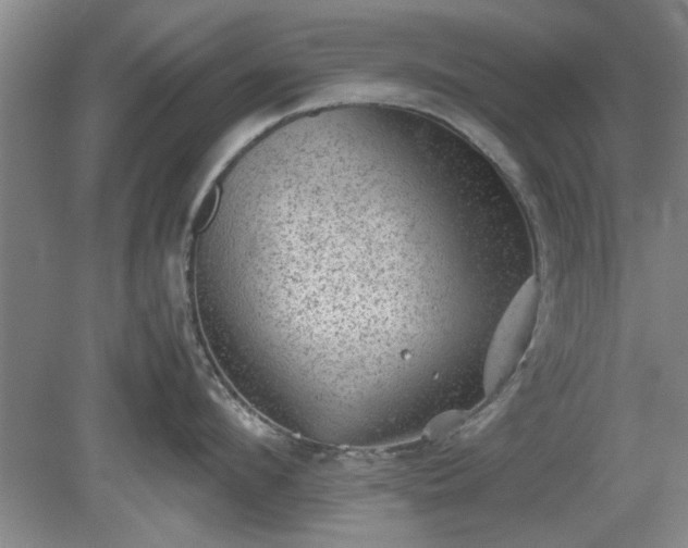 X0000078860912200611201310