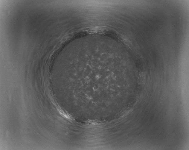 X0000078860913200611201309