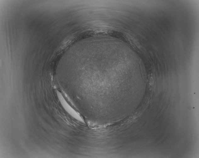 X0000078860916200611201309