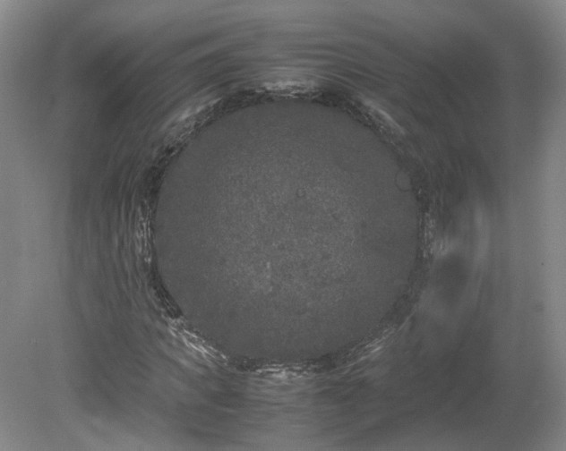 X0000078860917200611201309