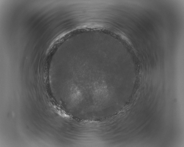 X0000078860920200611201309