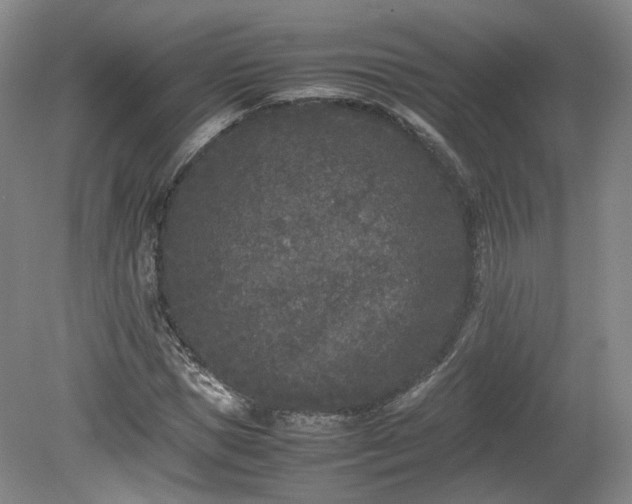 X0000078860921200611201309