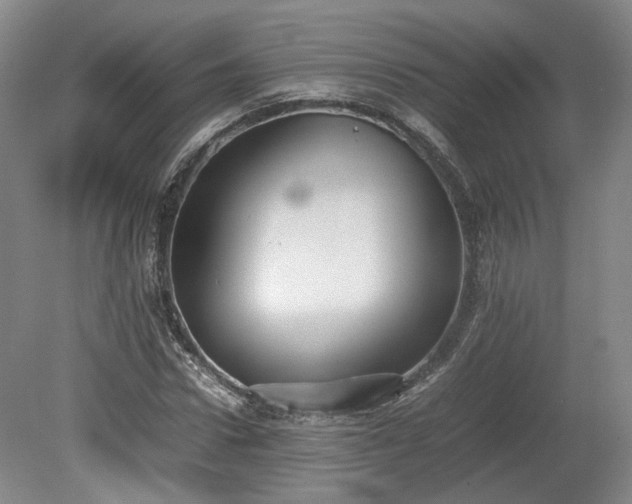 X0000078860922200611201309