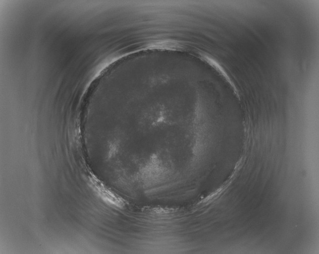 X0000078860923200611201309