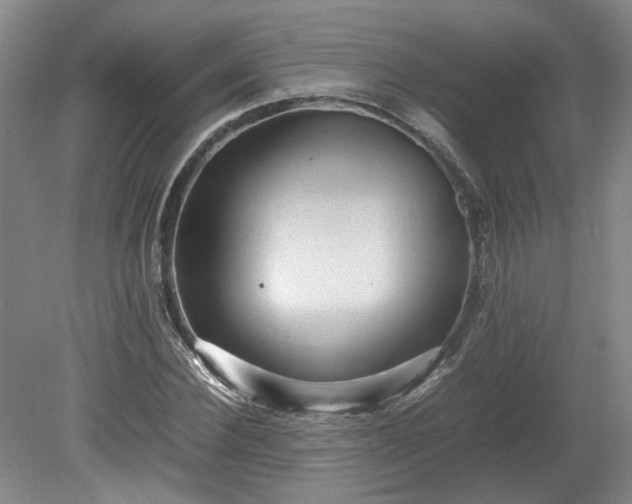 X0000078860924200611201309