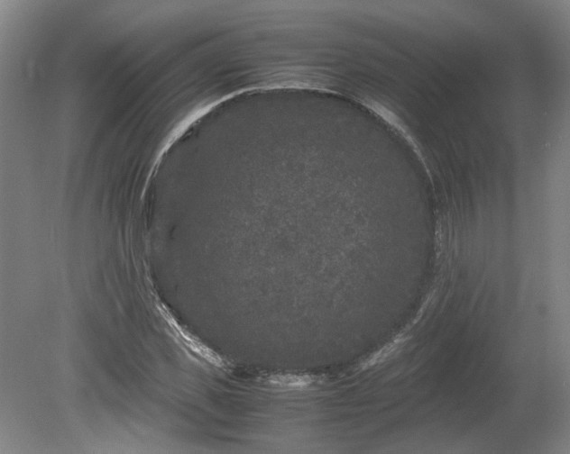 X0000078860925200611201309