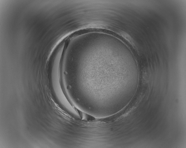 X0000078860926200611201309