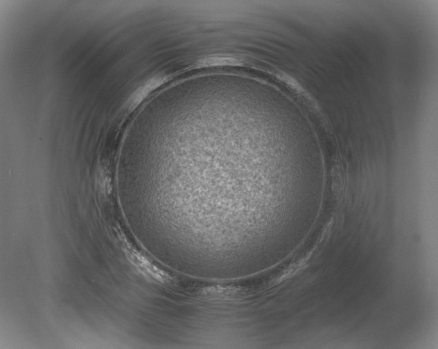 X0000078860929200611201309