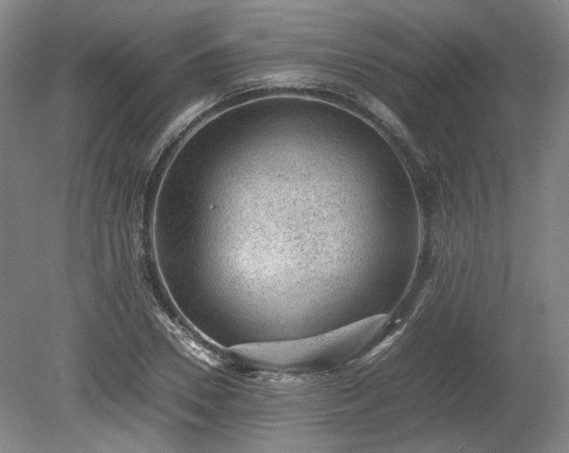 X0000078860930200611201309