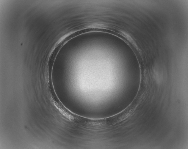 X0000078860931200611201309