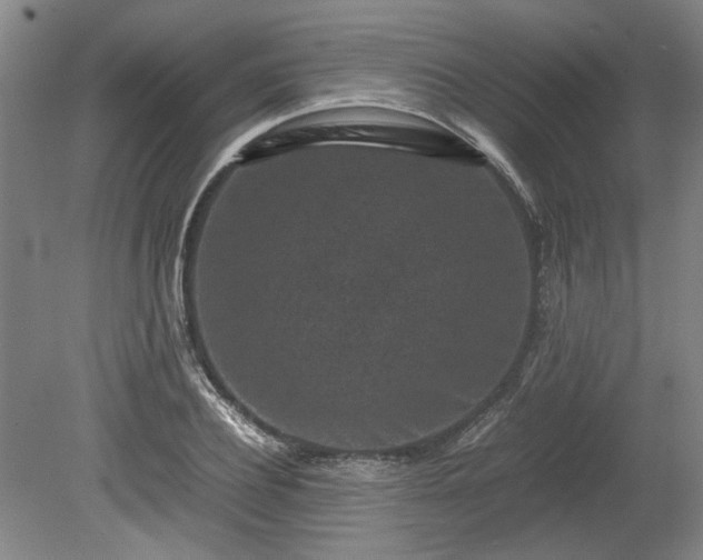 X0000078860932200611201309