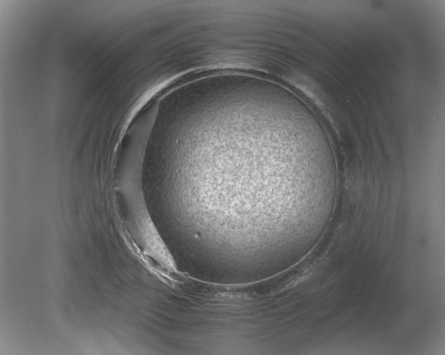 X0000078860933200611201309