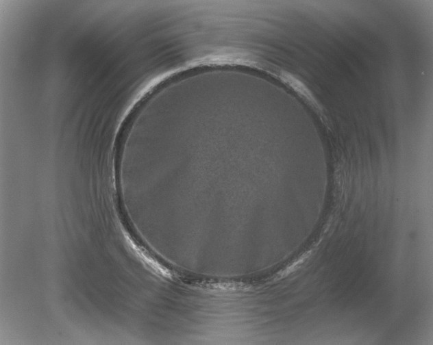 X0000078860934200611201309