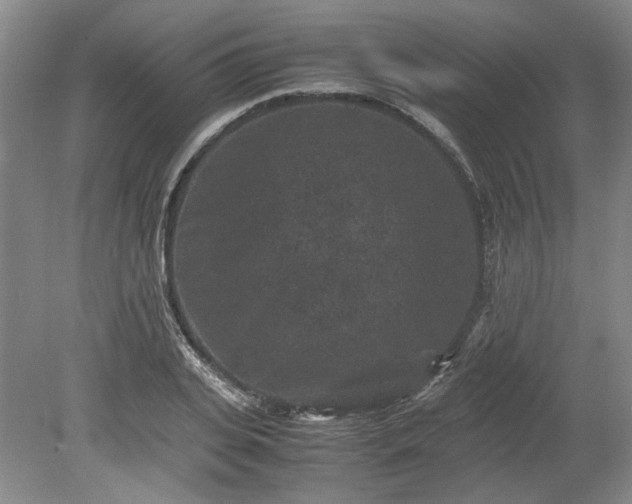 X0000078860935200611201309