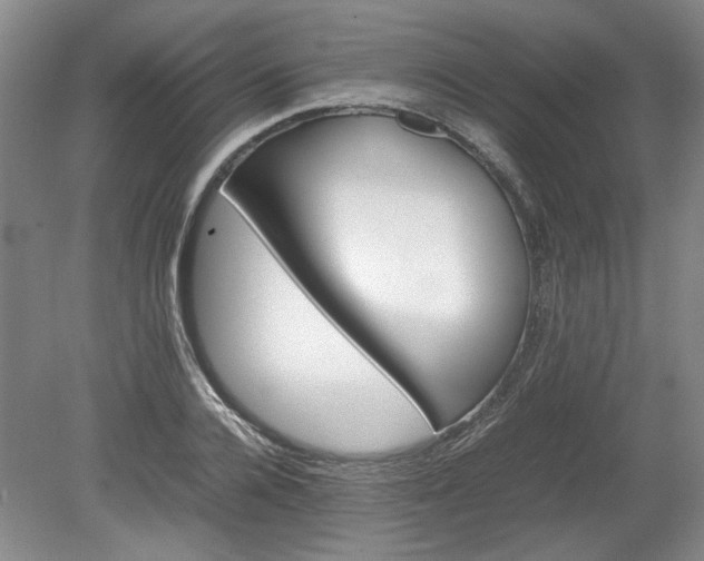 X0000078860936200611201309