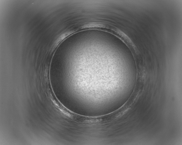 X0000078860937200611201310