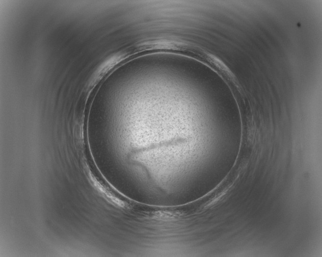 X0000078860938200611201310