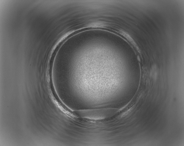 X0000078860939200611201310