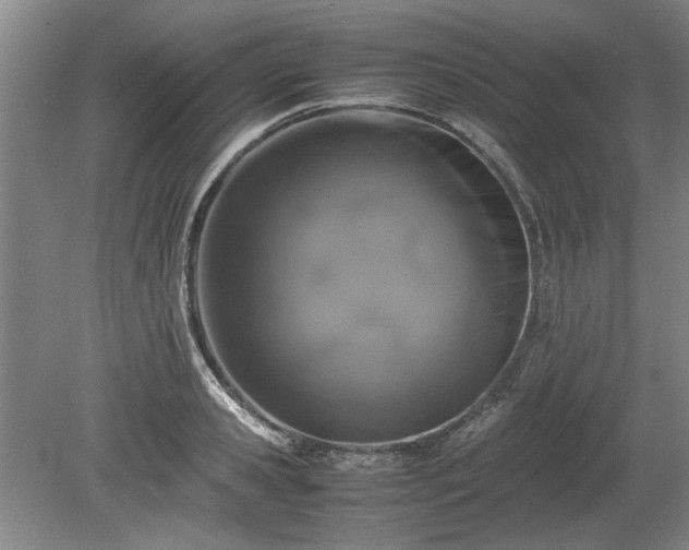 X0000078860941200611201310