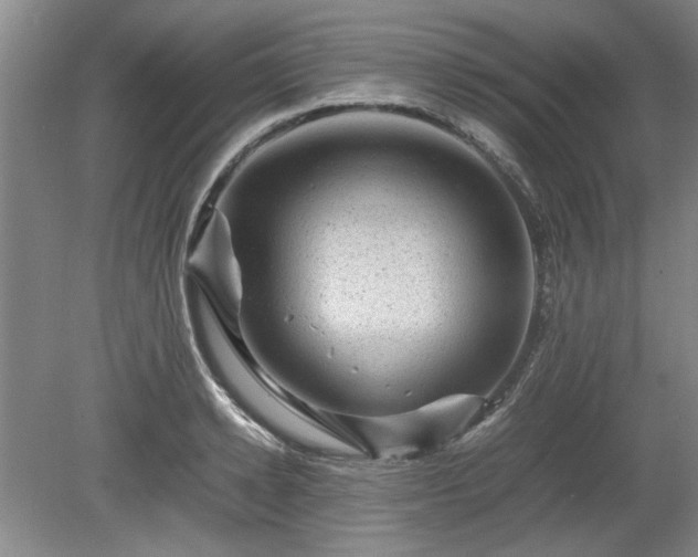 X0000078860942200611201310