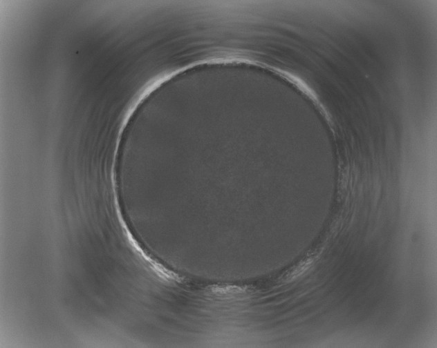 X0000078860943200611201310