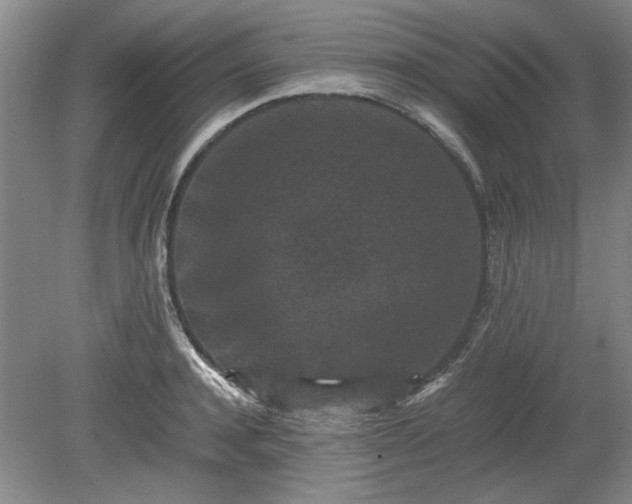 X0000078860944200611201310