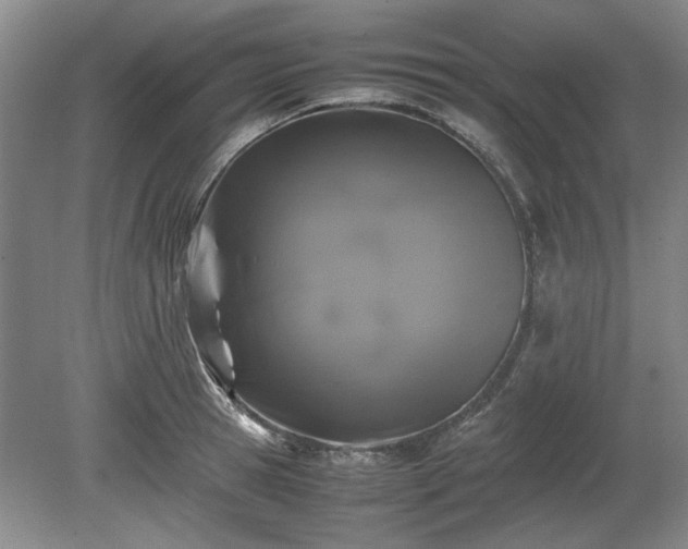 X0000078860945200611201310