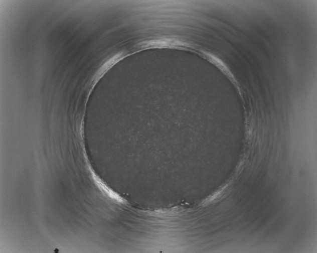 X0000078860946200611201310