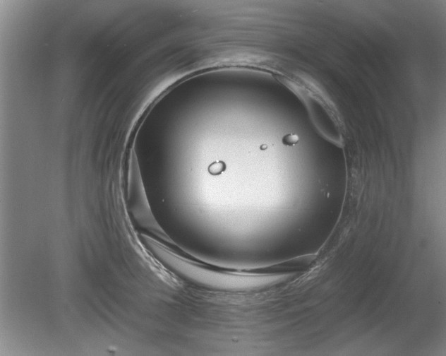 X0000078860948200611201310